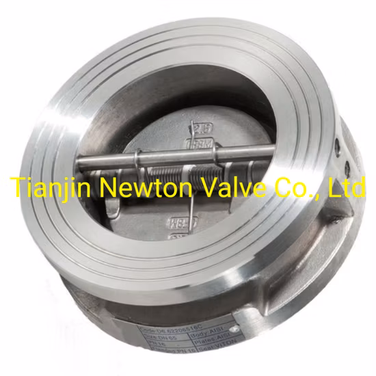 Clapet anti-retour à plaques Duo en acier au carbone Wcb CS, gaufrette NBR/Buna